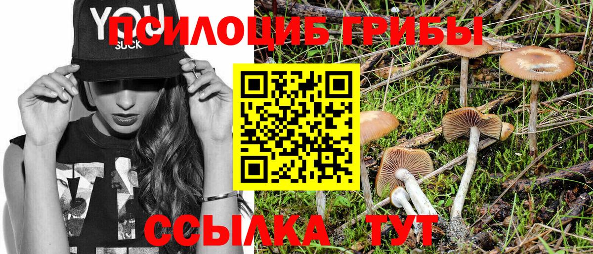 Псилоцибиновые грибы Magic Shrooms  Вход с VPN  Благовещенск 