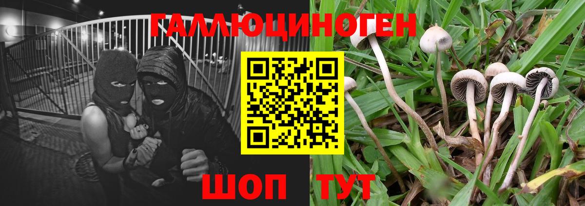 Галлюциногенные грибы Magic Shrooms Благовещенск